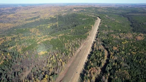 Straight logging road through boreal forest to the horizon Vídeos de archivo 346847457