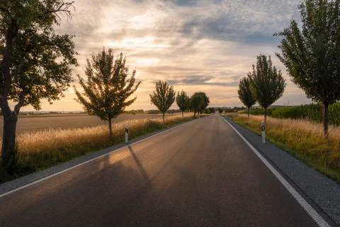 Straight long road through fields at sundown Stock Photos