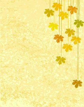 Straight maple Stock-Illustration