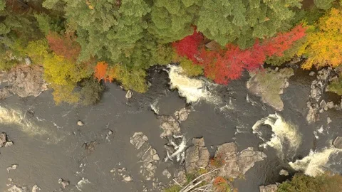 Straight overhead drone shot of fall river with stone river bed showing Stock Footage 119187652