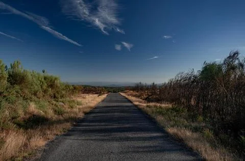 Straight Path to the Horizon Stock Photos