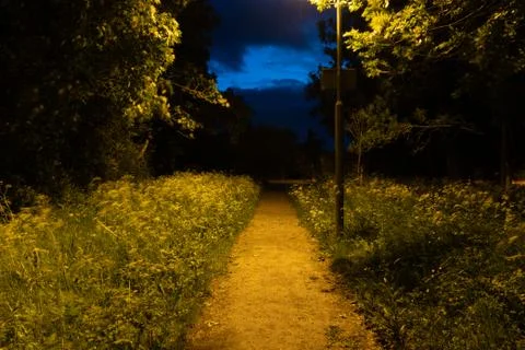 A straight path just after sunset with a street lamp. With Venus in the night Stock Photos