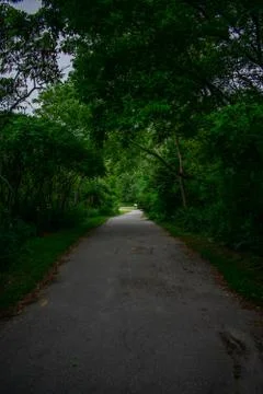 Straight path leading down with trees and grass on both sides Stock Photos