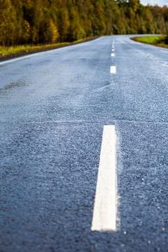 Straight paved road with markings, going into the distance through Foto stock