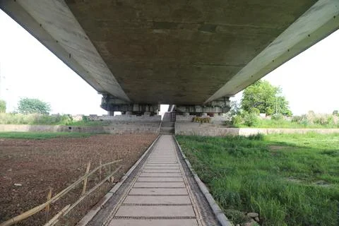 Straight pedestrian path leading under a wide concrete bridge through green.. Stock Photos