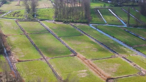 Straight perspective segmented green pasture plots separated by drainage ditches Stock Footage 330723077