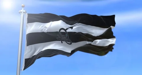 Straight Pride Flag Stock Footage 120258791