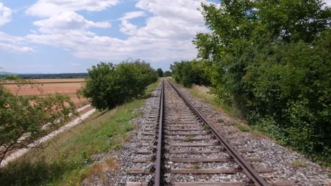 Straight railway tracks moving between green bushes and a blooming sunflower Vidéo 339634713