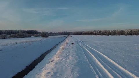 Straight river in snow fields 4K Stock Footage 289761806