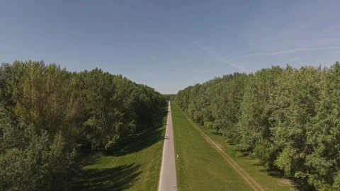 A straight road cuts through a dense green forest, viewed from above in a Vidéo 334196292