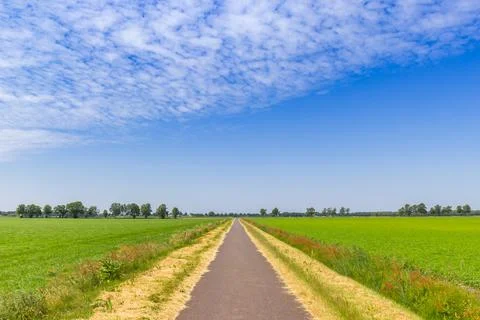 Straight road going through the flat landscape of Drenthe Foto stock