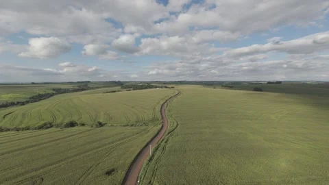 Straight Road Through Endless Cornfields – High-Altitude Drone Footage Stock Footage 306475471