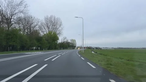 Straight road under cloudy sky with trees and streetlights, neutral and calm 库存影片 342756191