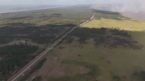 Straight Route 9 highway cuts diagonally through dense pine forest near Laguna Video stock 346611759