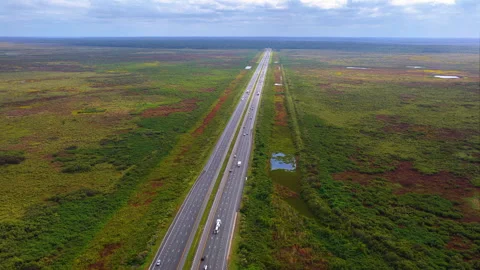 Straight section of interstate highway in Florida wetland zone, bordered by Stock Footage 325404873