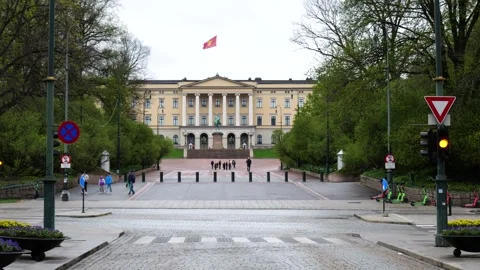 Straight tree lined avenue oslo norway leads royal palace pale yellow fa ade Stock Footage 327630384
