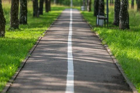 Straight tree-lined bike path with central white divider leading into dista.. Stock Photos