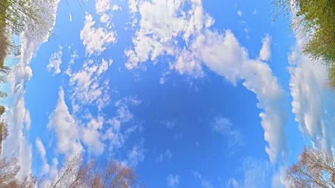 Straight UP View to Sky and Clouds During Long UK Road Travel Stock Footage 333759959