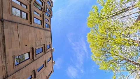 Straight UP View to Sky and Clouds During Long UK Road Travel Stock Footage 334065393