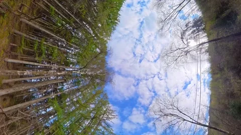 Straight UP View to Sky and Clouds During Long UK Road Travel Stock Footage 334086662