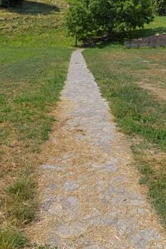 Straight Walk Path Park Stock Photos