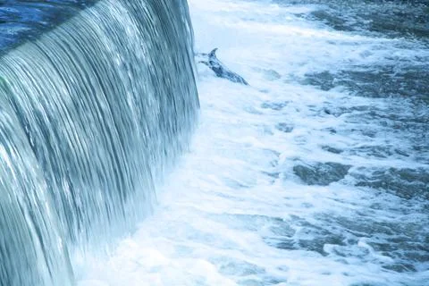 Straight Waterfall Stock Photos