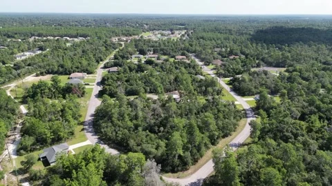 StraightFlight Video stock 201973657