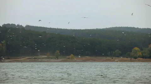 Strained motion Video stock 1459913