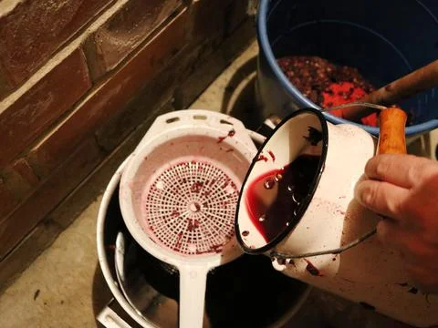 Straining grape juice through a colander Stock Photos