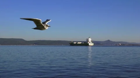 Strait of Dardanelles, Turkey Video stock 84745253