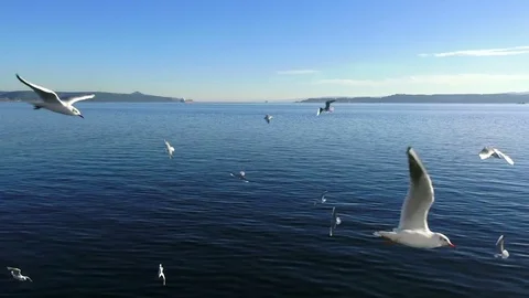 Strait of Dardanelles, Turkey 스톡 동영상 84745397