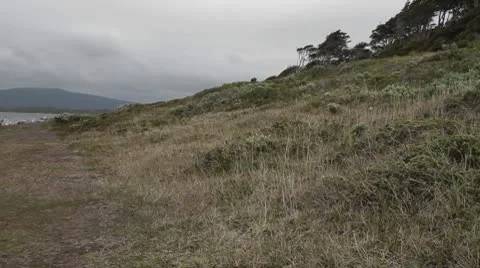 Strait of Magellan pan path Stock Footage 9300126