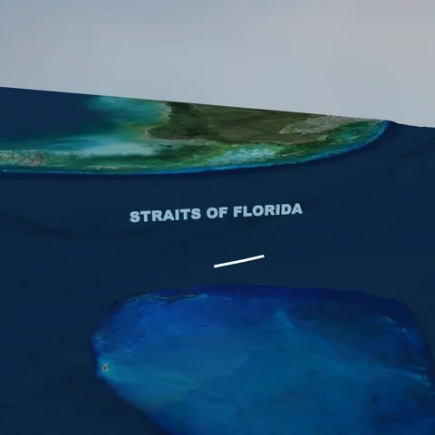 Straits of Florida 3D Terrain Topography Map 4K Square Stock Footage 338243270