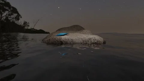 Stranded Blue Fish Thrashing on Rocky Islet Under Starry Sky Stock Footage 341441592