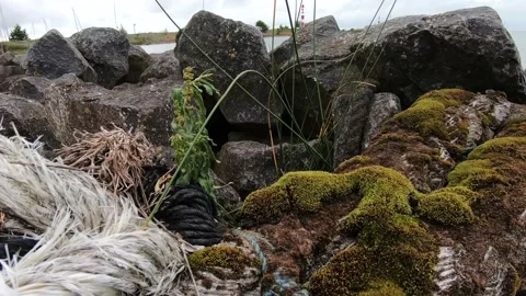 Stranded rope on the dike. Vídeos de archivo 233811672