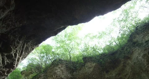 Stranded Tesla Model Y driver panics in remote valley 스톡 동영상 317061560