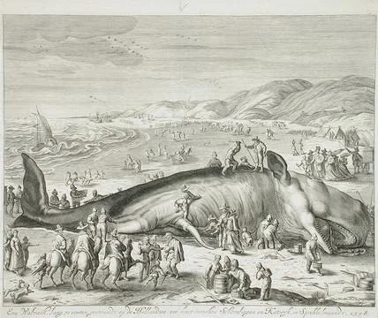 Stranded Whale between Scheveningen and Katwyk. Willem van der Gouwen (Holl.. Stock Illustration