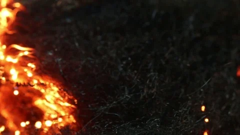 Strands of Fire Moving Throughout Material MAC Stock Footage 74537825