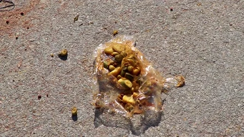 Strange angular food wrapped in plastic lies on the street. Stock Footage 305020168