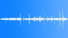 Strange birds 03 Sound Effect
