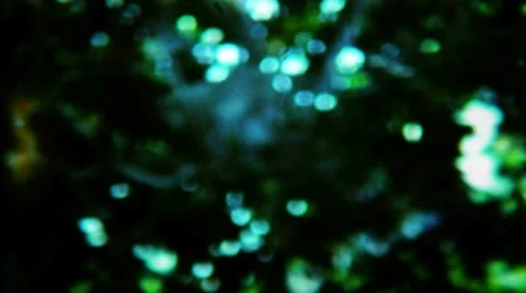 Strange Blurry Light Abstraction Background - Vintage 8mm Film Stock Footage 11353208