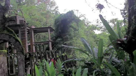 Strange Building in the Jungle Stock Footage 9249697