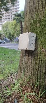 Strange composition Stock Photos