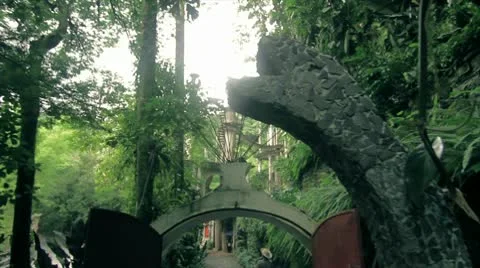 Strange Construction in Jungle 1 Stock Footage 8979783