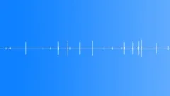 Strange crickets Sound Effect
