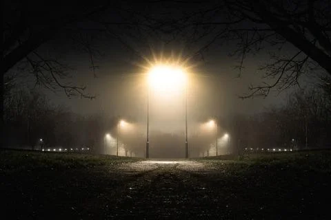 A strange double exposure reflection. A path through a park Stock Photos