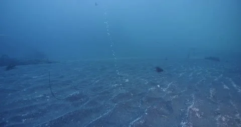 Strange flow of single stream bubbles escaping sea bed Stock Footage 320418723