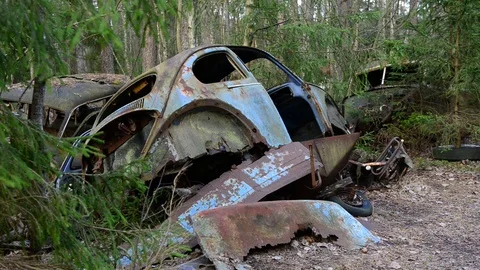 Strange forgotten cars in the middle of a sweidsh forest Stock Footage
