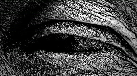 Strange human eye Stock Footage 591471