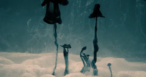 Strange ink clouds appearing from a foam landscape. Underwater alien world theme Stock Footage 121000254